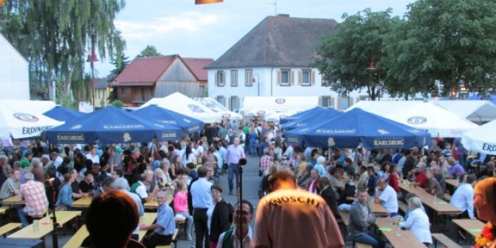 Preview 05.07.2014, Heidelbeerfest Steinfeld